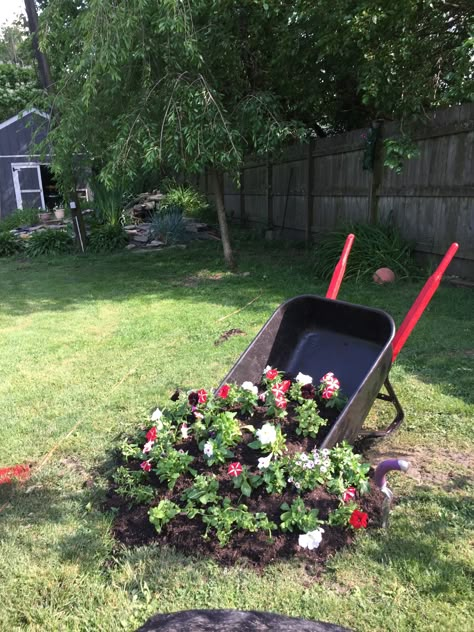 Wheelbarrow Succulent Planter Ideas, Old Wheel Barrow Ideas, Wheel Barrel Garden Ideas, Spilled Wheelbarrow Planter Ideas, Wheel Barrel Planter Ideas Yards, Wheel Barrow Planters Diy, Wheel Barrow Planters, Wheelbarrow Planter Ideas, Wheel Barrel Planter