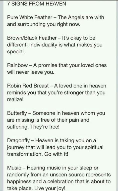 Now I know..7 signs from heaven.. Feathers From Heaven, Rainbow Signs From Heaven, Signs From Angels, Red Dragonfly Spiritual Meaning, Finding Dimes Meaning, Robin Spiritual Meaning, Butterfly Story, Rainbow Promise, Signs From Heaven