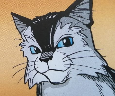 Warrior Cats Manga, Peace Pictures, Warrior Cats Comics, Warrior Cats Books, Cat Book, Warriors Cats, Warrior Cats Art, Cat Character, Cat Books