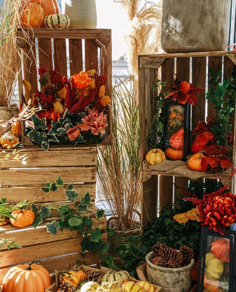 Halloween is coming up next month 🎃 Why not get spooky in the office with a show-stopping plant display?⁠ ⁠ From rich red flora to autumnal scenes overflowing with pumpkins, we can create just the right festive feel for you.⁠ Send us a message over at info@plantdesigns.co.uk ✉️⁠ .⁠ .⁠ .⁠ .⁠ .⁠ #seasonalflowers #floristry #floraldesign #seasonalfloristry #flowersofinstagram #officeflowers #officeevents #officeplants #receptionflowers #receptiondisplay #receptionplants #bloomdisplays #flowerin... Green Event Decor, Plant Workshop, Event Look, Autumn Is Coming, Office Flowers, Harvest Celebration, Green Event, Plant Installation, Event Trends