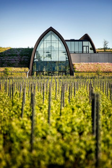 Libourne France, Wineries Architecture, St Emilion, French Countryside, Green Roof, Wine Cellar, Unesco World Heritage Site, World Heritage Sites, Picture Gallery