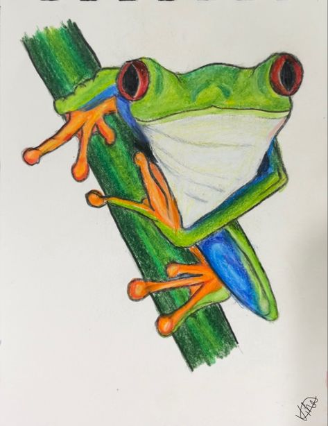 #art #colouredpencilart #prismacolor #frog Frog Pencil Drawing, Tree Frog Drawing, Tree Frog, Tree Frogs, Color Studies, Color Pencil Drawing, Color Pencil Art, Color Pencil, Pencil Drawing