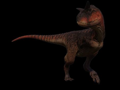 Carnotaurus | The Isle Wiki | Fandom Carnotaurus Art Cute, The Isle Carnotaurus, Carnotaurus The Lost World, Prehistoric Planet Tyrannosaurus, Walking Animation, Tyrannosaurus Paleoart, Game Of Survival, Tyrannosaurus Rex, The Isle