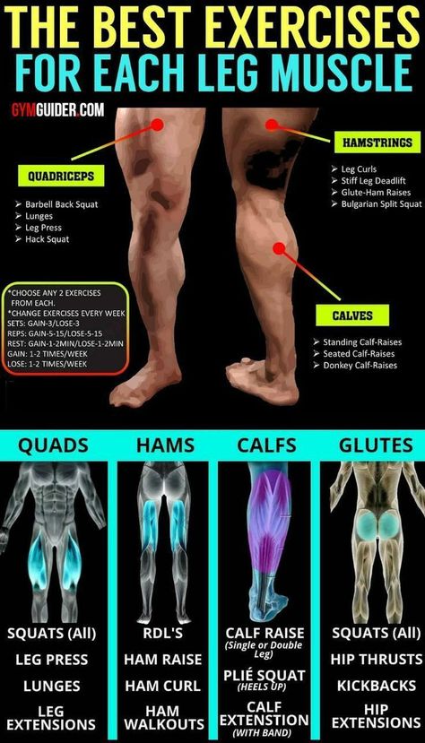 Bigger Legs, Leg Workouts Gym, Leg Muscle, Gym Workout Chart, Leg Day Workouts, Big Legs, Makanan Diet, Weight Training Workouts, Workout Chart