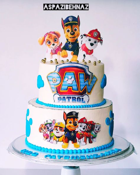 Pastel Paw Patrol, Paw Patrol Pinata, Masculine Cake, Mickey Mouse Themed Birthday Party, Birthday Theme Decoration, Paw Patrol Birthday Cake, Pinata Cake, 2 Tier Cake, Paw Patrol Cake