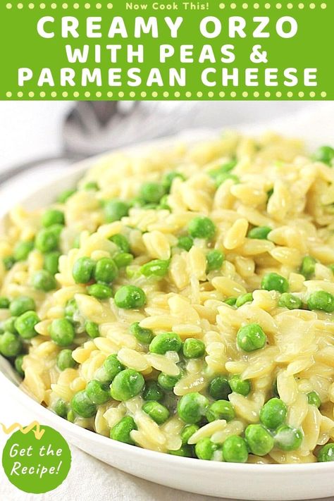 Spring Side Dishes Veggies, Creamy Garlic Parmesan Orzo With Peas, Easy Creamy Orzo Recipes, Dinners With Peas, Orzo With Peas And Parmesan, Parmesan Orzo And Peas, Orzo Peas Recipes, Orzo With Veggies, Creamy Cheesy Orzo