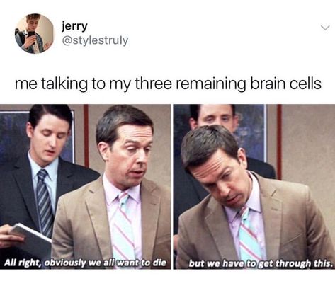 Excuse me I have 2 brain cells < I have a half of one I share with my soulmate lol My Last Three Brain Cells, It’s The Final Brain Cell, Brain Cells Funny, Brain Jokes, One Brain Cell, Office Jokes, The Office Show, Office Memes, Office Quotes