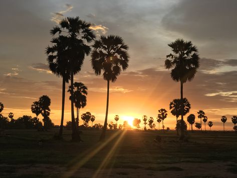 beautiful sunset in Cambodia Beautiful Sunset, Cambodia, Quick Saves