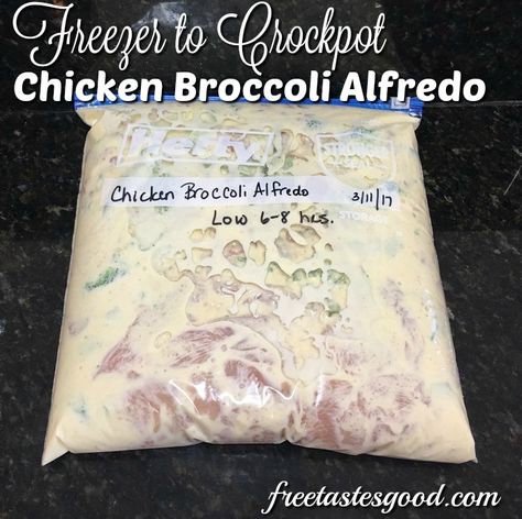 Freezer to Crockpot Chicken Broccoli Alfredo with homemade Alfredo Sauce - DELICIOUS Freezer Chicken Broccoli Alfredo, Freezer Crockpot Meals Kid Friendly, Freezer Alfredo Sauce, Chicken Broccoli Freezer Meal, Freezer Chicken Alfredo, Broccoli Chicken Crockpot, Freezer Alfredo, Alfredo Broccoli Chicken, Broccoli Freezer Meal