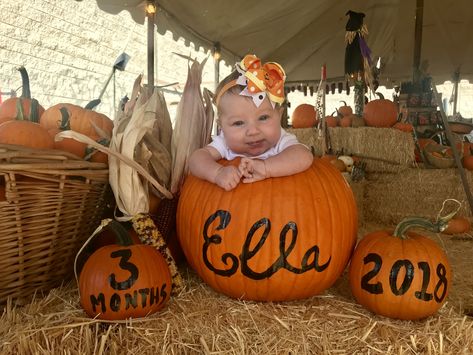 Baby In a pumpkin. 3 months old. Baby Pumpkin Pictures, Halloween Baby Pictures, Fall Baby Photos, Fall Baby Pictures, Baby Boy Newborn Pictures, Baby Milestones Pictures, Family Photos With Baby, Monthly Baby Pictures, Pumpkin Pictures