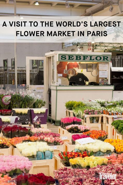 French Flower Market Aesthetic, French Flower Market, Paris Flower Market, Indian Jones, French Life, Walter Mitty, French Flowers, Flower Cart, Tourist Sites