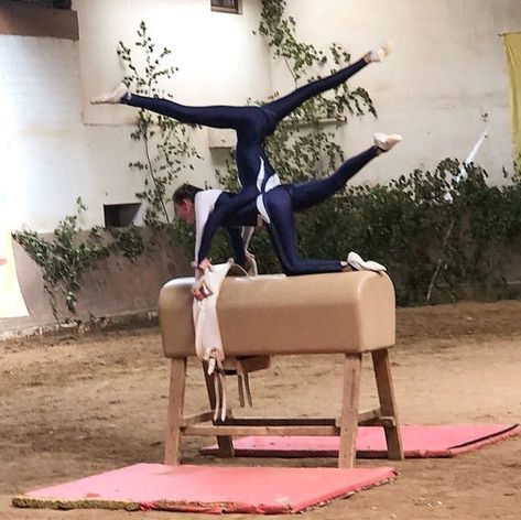 Horse Vaulting Moves, Equestrian Vaulting Moves, Equestrian Vaulting, Vaulting Equestrian, Horse Vaulting, Trick Riding, Stable Door, Horse Photos, Rhythmic Gymnastics