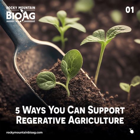 1️⃣ Buy from local farmers who practice regenerative agriculture. 2️⃣ Support organizations that are developing and promoting regenerative agriculture systems. 3️⃣ Learn more about regenerative practices in your area and how you can implement them. 4️⃣ Plant your own regenerative garden, no matter how small. 5️⃣ Share your knowledge about the importance of regenerative agriculture with friends and family. #rockymountainag #regenerativeagriculture #localfarmers Regenerative Agriculture, Bio Organic, The More You Know, 5 Ways, No Matter How, Agriculture, Farmer, Matter, Canning