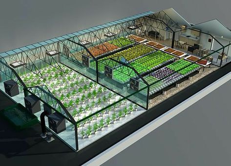 Aquaponics Greenhouse, Indoor Farming, Hydroponic Farming, Hydroponics Diy, Indoor Greenhouse, Vertical Farming, Plants Growing, Greenhouse Plans, Aquaponics System