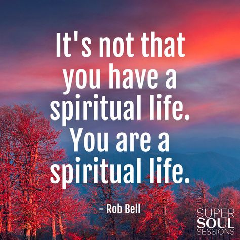 It's not that you have a spiritual life. You are a spiritual life.  Rob Bell Rob Bell Quotes, Super Soul Sunday Quotes, Theology Quotes, Rob Bell, Maira Kalman, Meditation Quotes Mindfulness, Inspirational Readings, False Teachers, Soul Sunday