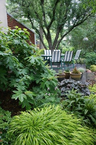 Stunning Backyards, Bushes For Front Yard, Small House Exterior Design, Little Lime Hydrangea, Hammock Area, Easy Garden Ideas Landscaping, Colorful Landscaping, Corner Landscaping, Front Yards Diy