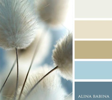 Oyster Bay Color Scheme, Exterior Paint Palette, Oyster Bay Sherwin Williams, Best Exterior Paint, Palettes Color, Color Coordination, Mixing Colors, Color Schemes Colour Palettes, Oyster Bay