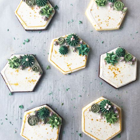 Royal Icing Succulents, Succulent Cookies Royal Icing, Succulent Decorated Cookies, Succulent Cookies Decorated, Succulent Sugar Cookies, Plant Cookies, Succulent Cookies, Cactus Cookies, Decorative Cookies