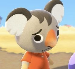 Animal Crossing Acnh Reactions, Animal Crossing Reaction Pics, Animal Crossing Memes, Animal Crossing Villagers, Reaction Pics, Animal Memes, Reaction Pictures, Animal Crossing, Cute Animals