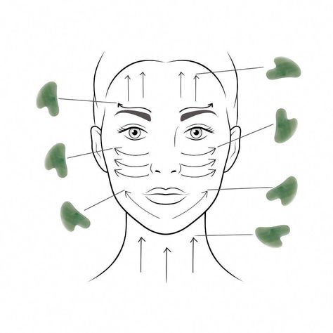 The Jade Gua Sha is your go-to tool to assist in contouring and sculpting the face while enhancing the penetration and effectiveness of your skincare.  With daily use, our sustainably harvested Jade Gua Sha can help reduce fine lines, stimulate collagen, encourage lymphatic drainage, decrease puffiness and enhance skin Jade Gua Sha, Facial Routine Skincare, Facial Routines, Facial Contouring, Basic Skin Care Routine, Facial Skin Care Routine, Face Massage, Facial Massage, Gua Sha