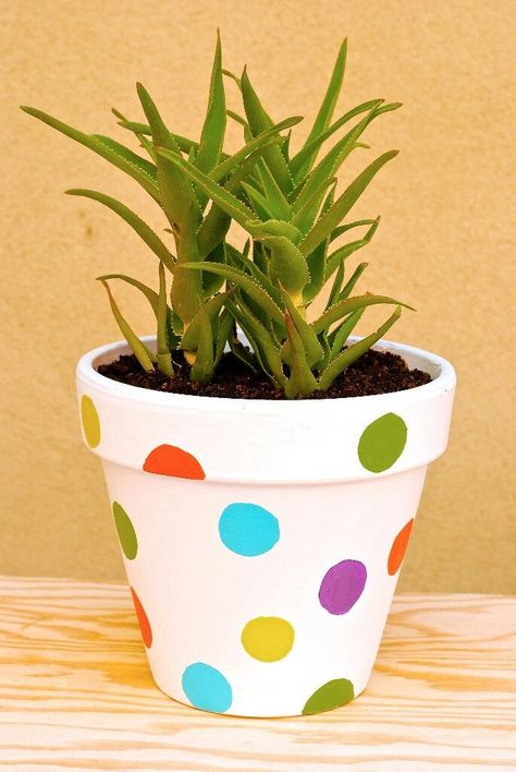 Flower Pots Painting, Paint Business, Pots Painting, Paint Garden Pots, Knitted Crafts, Custom Pottery, Kawaii Clay, Terra Cotta Pot Crafts Diy, Cactus Clipart