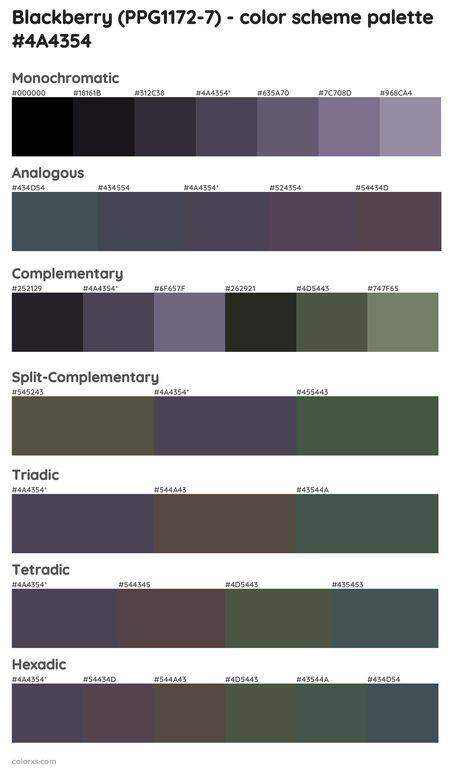 Blackberry Color Palette, Draw A Hexagon, Blackberry Color, Benjamin Moore Blue, Analogous Color Scheme, Split Complementary Colors, Rgb Color Codes, Rgb Color Wheel, Darkest Black Color