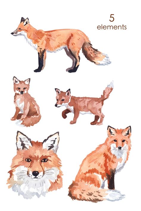 WATERCOLOR CLIPART fox clipart woodland nursery | Etsy Watercolour Fox Easy, Forest Animals Clipart, Fox Things, Fox Paintings, Professor Plum, Forest Animals Illustration, Fox Clipart, Wild Animals Vector, Art Fox