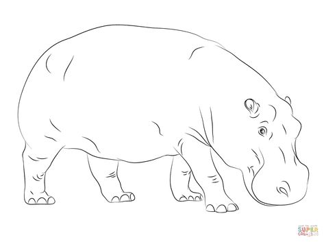 Cute Hippopotamus | Super Coloring Hippo Outline, Kuda Nil, Hippo Drawing, Cute Hippopotamus, Drawing Pics, Hippo Toy, Insect Coloring Pages, Simple Line Drawing, Drawing Kids