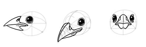 How to Draw a Bird Head Birds are extremely diverse, but their head has a structure universal to all of them. So let’s see how to draw a “universal bird head”. Start with an oval. Some species will be easier to draw with a 篇circle, others with an ellipse. ￼ Define the perspective of the skull with some directing lines. ￼ ￼ Mark the jaw joint on the bottom of the skull. Draw a long curve defined by the bottom of the upper jaw. The beak is wide near the base and narrows toward the tip. ￼ Draw the Bird Face Drawing, Bird Beaks Drawing, How To Draw Birds, 3d Wireframe, Draw A Bird, Draw Birds, Bird Head, Bird People, Bird Beaks