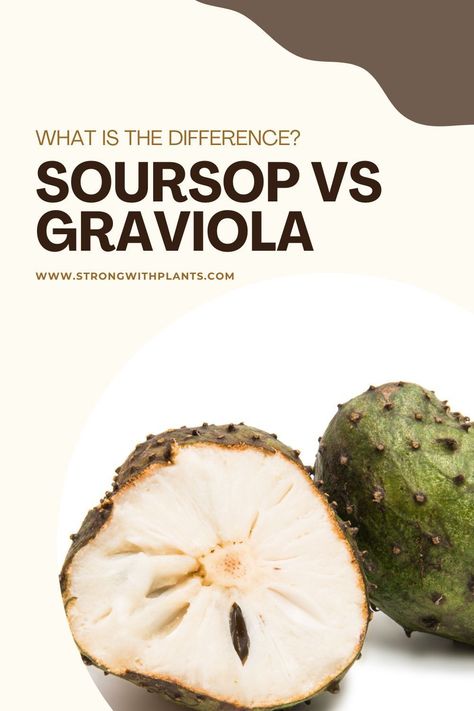 I will share with you the difference between Soursop and Graviola including the variety of taste you can get from these fruits. #healthbenefits #fruitbenefits #soursop #graviola Graviola Benefits, Melon Benefits, Soursop Benefits, Soursop Fruit, Custard Apple, Herbal Education, Fruit Benefits, Vegan Living, Different Fruits