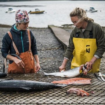 Salmon Sisters, Salmon Poke, Cook Fish, Spicy Dipping Sauce, Alaskan Salmon, Salmon Cakes, Cooking Seafood, How To Cook Fish, Cook Chicken Breast