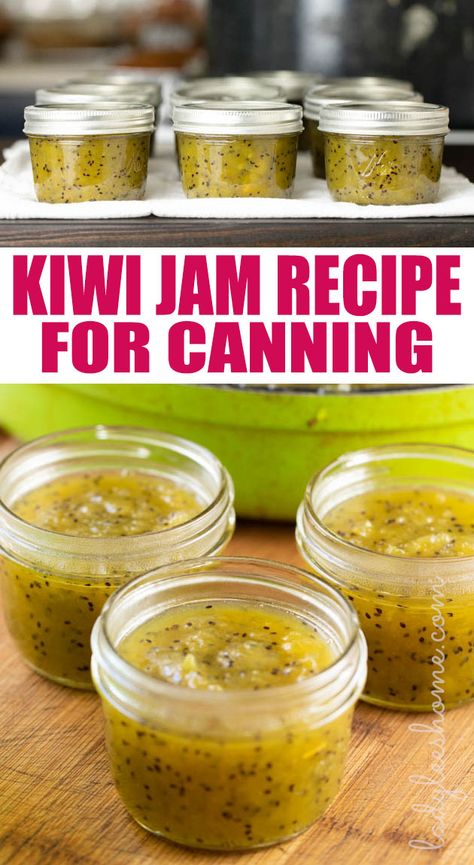 Kiwi Jam Canning, Canning Kiwi, Kiwi Jelly Recipe, Kiwi Jam Recipe, Kiwi Recipes Dessert, Kiwi Jelly, Kiwi Jam, Kiwi Recipes, Kiwi Berries