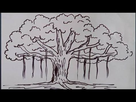 Banyan Tree Drawing, Tree Drawing For Kids, Independence Day Activities, Drawing Competition, National Symbols, Banyan Tree, Crayon Art, Birthday Songs, Origami Crafts Diy