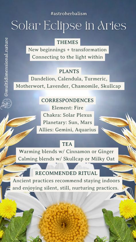 🌑☀️🌎 The New Moon Solar Eclipse in Aries peaks on April 19th, 2023 at 9:16 pm PT. Ancient practices recommended staying indoors and connecting to the inner light through stillness during this time. Some people may feel empowered by these energies, while others may feel the are a little intense. Whatever feelings the Solar Eclipse in Aries brings forth for you, tap into those practices and Plants that feel most supportive. 🌿💕 Eclipse April 8, Solar Eclipse Correspondences, Solar Eclipse 2024 Spiritual, Solar Eclipse Blessing, Total Solar Eclipse Spiritual, Solar Eclipse Witch, Total Solar Eclipse Witchcraft, Aries Solar Eclipse, Solar Eclipse Magic 2024