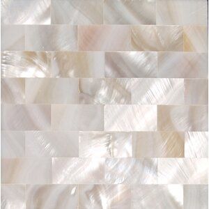 Seashell Tile, Brick Mosaic, Shell Tiles, Pearl Tile, Bullnose Tile, Mosaic Wall Tiles, Tile Trim, Accent Tile, White Brick