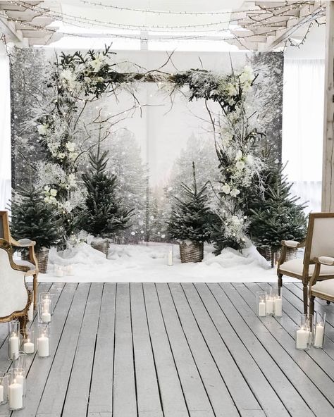 Winter Wedding Photo Backdrop, Christmas Tree Wedding Backdrop, Christmas Forest Wonderland, Winter Wonderland Photo Booth, Winter Photo Backdrop, Christmas Party Backdrop, Photo Backdrop Christmas, Corporate Christmas Parties, Christmas Stage