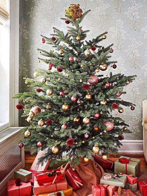 Martha Stewart Christmas Decorating Tips Christmas Tree Inspiration Red And Gold, Christmas Tree Topper Hat, Natal Natural, Martha Stewart Christmas, Christmas Shots, Creative Christmas Trees, Christmas Tree Inspiration, Christmas Inspo, Gold Christmas Tree