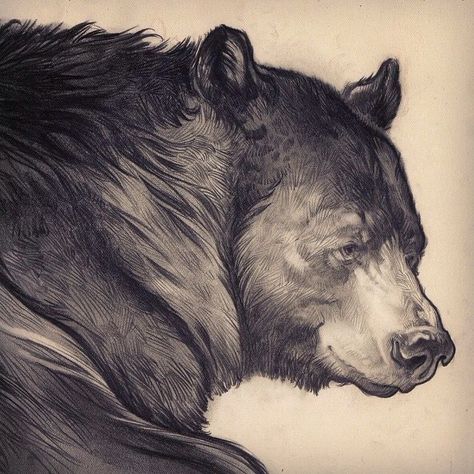 Jumbo Drawing Ideas, Bear Drawing Sketches, Bear Sketches, Black Bear Art, Black Bears Art, Bear Sketch, Grizzly Bears, Bear Tattoos, Bear Drawing