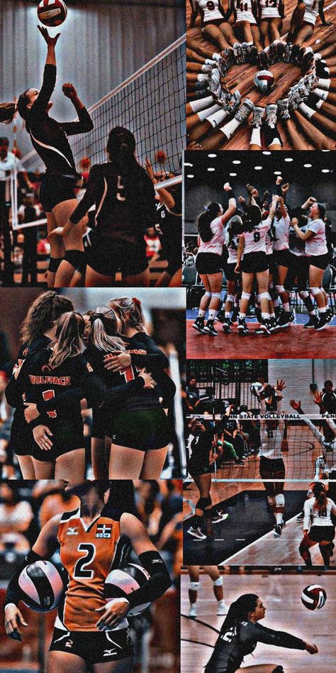 Volleyball Wallpapers Aesthetic, Cute Volleyball Wallpapers Aesthetic, Volleyball Wallpaper Iphone, Wallpaper Volleyball, Aesthetic Wallpaper Volleyball, Volley Ball Aesthetic Wallpaper, Volleyball Collage Wallpaper, Volleyball Backgrounds, Volleyball Motivation