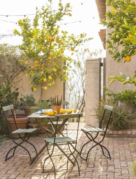 Mediterranean style home in Arizona showcases amazing outdoor spaces Mediterranean Outdoor Patio, Mediterranean Village, Courtyard Plants, Greek Garden, Mediterranean Patio, Mediterranean Style Home, Front Courtyard, Mediterranean Style Homes, Mediterranean Home Decor