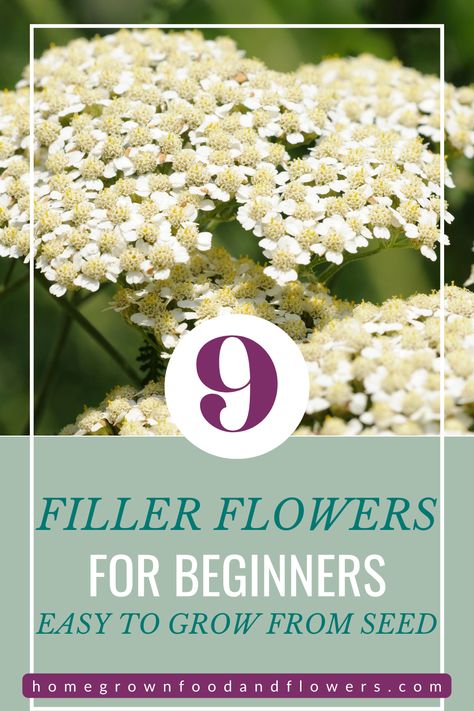 Filler Plants For Bouquets, Garden Filler Plants, Fillers For Bouquets, Growing Flowers For Bouquets, Best Flowers For Bouquets, Filler Plants For Cut Flower Garden, Cut Flower Bouquet Recipe, Easy To Grow Cut Flowers, Flowers To Grow For Bouquets