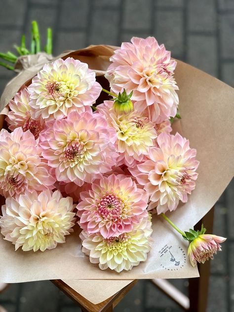 Florist Ideas, Flower Planting, Flower Kids, Boquette Flowers, Flower Therapy, Beautiful Bouquet Of Flowers, Favorite Flowers, Seasonal Flowers, Beautiful Bouquet