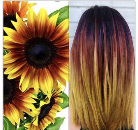 Sunflower Dyed Hair, Sunflower Ombre Hair, Orange Hair With Yellow Highlights, Sunflower Hair Color Ombre Short, Sunflower Hair Color, Sunflower Hair Color Ombre, Sunflower Hair, Sunflower Yellow Hair Color, Black Red Orange Yellow Hair