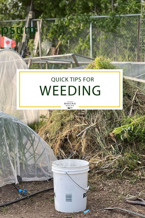 Pulling Weeds Hack, Weeding Tips, Using Cardboard To Kill Weeds, Prevent Weeds In Flower Bed, Organic Ways To Kill Weeds, Vinager To Kill Weeds, Kill Weeds Naturally, Killing Weeds, Pulling Weeds