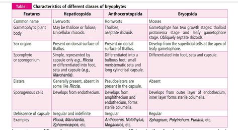 Characteristics of various classes of bryophytes Bryophytes Notes, Concept Maps, Concept Map, Biology Notes, Common Names, Biochemistry, Botany, Biology, Map