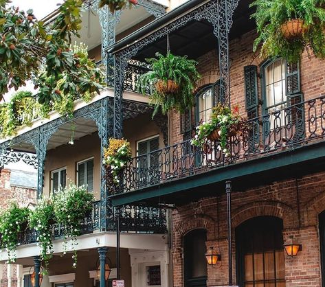 Architecture Hub on Twitter: "New Orleans, Louisiana⠀ https://t.co/MAN9QoWBQV… " Nola Aesthetic, New Orleans Home Decor, New Orleans Architecture, New Orleans French Quarter, New Orleans Homes, New Orleans Travel, Modern French, Big Easy, French Quarter