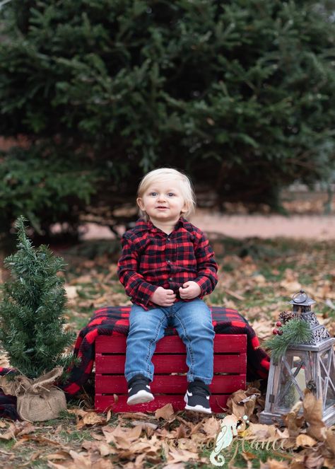 Outdoor Holiday Mini Sessions, Outdoor Kids Christmas Pictures, Outdoor Christmas Minis Photography, Christmas Photoshoot Ideas Mom And Son, Toddler Christmas Pictures Outdoor, Outdoor Christmas Pictures Kids, Rustic Christmas Pictures, Christmas Forest Photoshoot, Christmas Outside Photoshoot