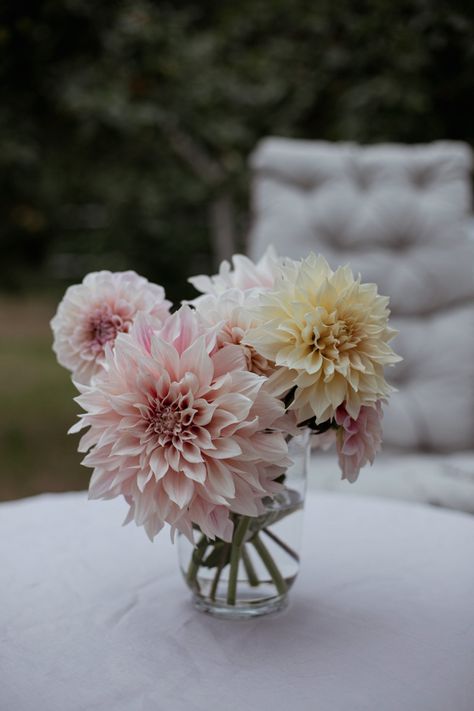 Dahlia Cafe Au Lait Bouquet, Small Dahlia Arrangement, Dalia Centerpiece, Cafe Au Lait Dahlias Bouquet, Dahlia Bouquet Wedding, Cafe Au Lait Dahlia Bouquet, Dahlia Centerpiece Wedding, Cafe Au Lait Dahlias, Dahlia Wedding Bouquets