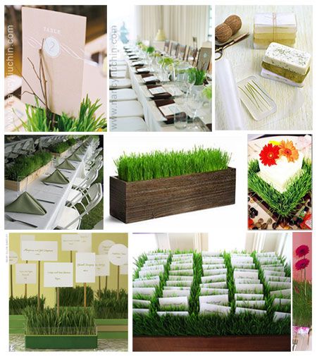 Create cheap, easy centerpieces or decorations with wooden containers and wheatgrass... just plant a few weeks before the wedding, and let nature take care of the décor! Growing Wheat Grass, Green Wedding Favors, Grass Centerpiece, Small Centerpieces, Simple Centerpieces, Small Intimate Wedding, Wheat Grass, Salou, Diy Centerpieces