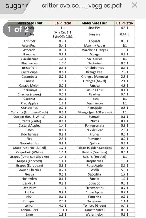 Ca:P ratio for gliders. Going to print this out tomorrow to hang on the fridge. I wasn't joking about these guys being for "advanced pet owners". Need to keep our girls healthy! Chart via http://www.critterlove.com/uploads/1/0/3/5/10355506/_sugar_glider_safe_fruits__veggies.pdf Sugar Glider Diet, Sugar Glider Food, Sugar Glider Care, Sugar Glider Baby, Sugar Glider Pet, Sugar Glider Cage, Sugar Glider Toys, Sugar Love, Sugar Bears